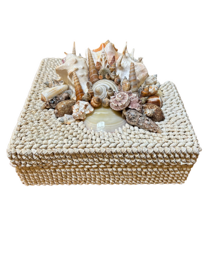 Shell Box